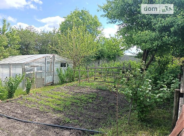 одноповерховий будинок з каміном, 138 кв. м, цегла. Продаж у Сулі фото 1 одноповерховий будинок з каміном, 138 кв. м, цегла. Продаж у Сулі фото 1