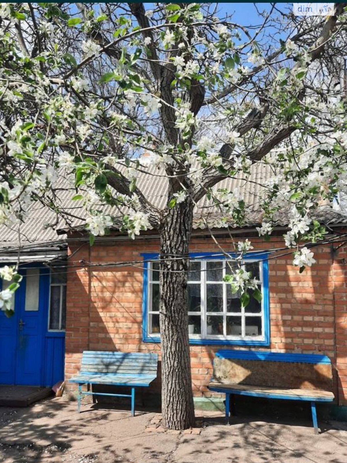 одноповерховий будинок з опаленням, 56 кв. м, цегла. Продаж в Сурсько-Литовському фото 1 одноповерховий будинок з опаленням, 56 кв. м, цегла. Продаж в Сурсько-Литовському фото 1