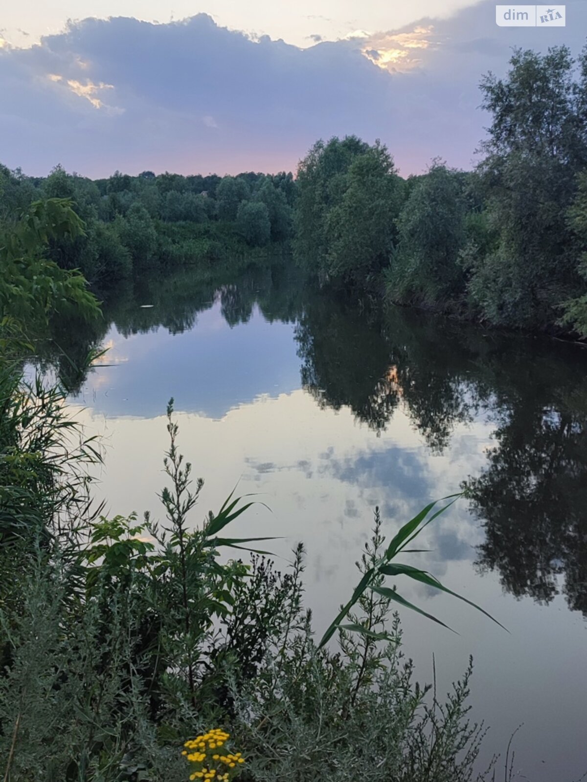 одноповерховий будинок з опаленням, 55 кв. м, шлакоблок. Продаж у Сурсько-Литовському фото 1 одноповерховий будинок з опаленням, 55 кв. м, шлакоблок. Продаж у Сурсько-Литовському фото 1