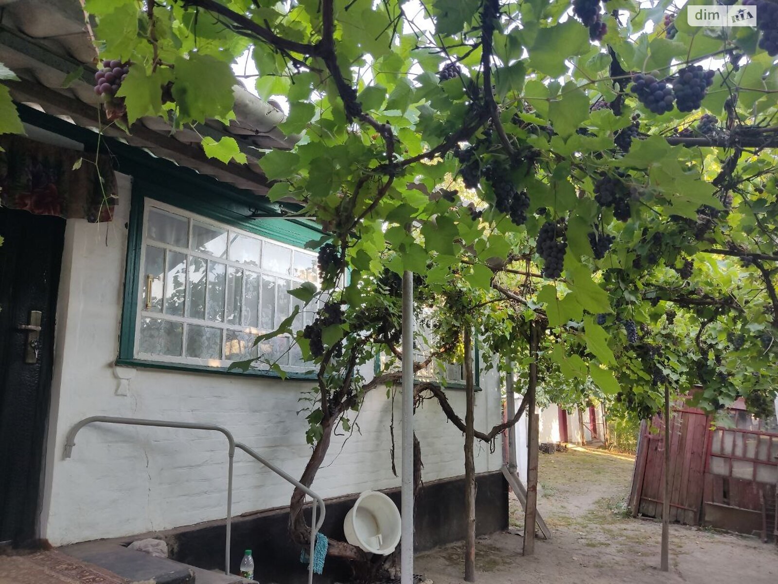 одноповерховий будинок з верандою, 80 кв. м, цегла. Продаж у Сушківці фото 1 одноповерховий будинок з верандою, 80 кв. м, цегла. Продаж у Сушківці фото 1