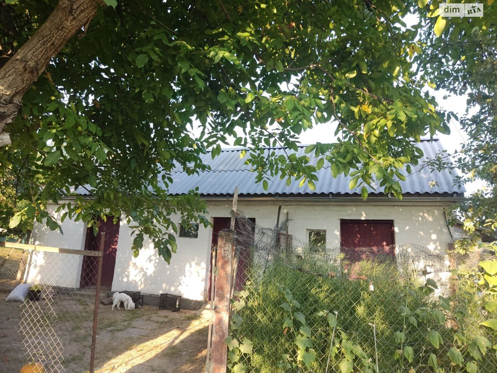 одноповерховий будинок з верандою, 80 кв. м, цегла. Продаж у Сушківці фото 1 одноповерховий будинок з верандою, 80 кв. м, цегла. Продаж у Сушківці фото 1
