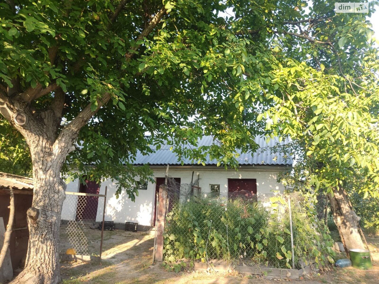 одноповерховий будинок з верандою, 80 кв. м, цегла. Продаж у Сушківці фото 1 одноповерховий будинок з верандою, 80 кв. м, цегла. Продаж у Сушківці фото 1