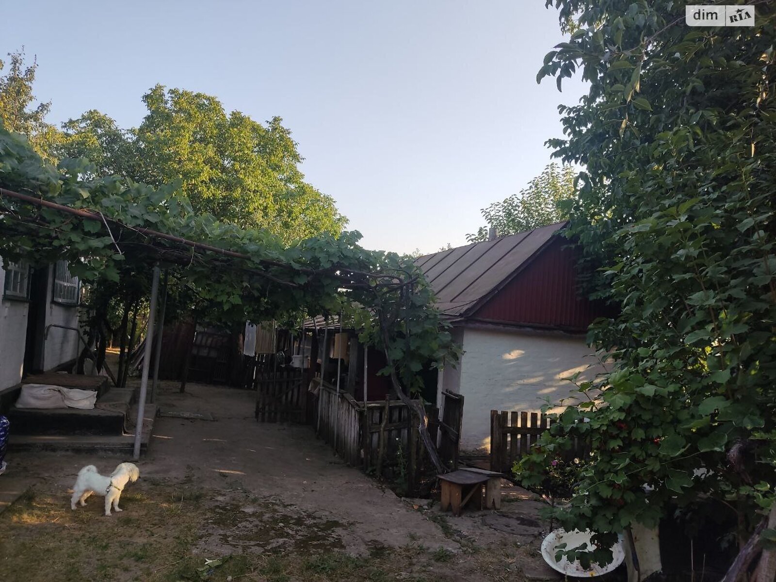 одноповерховий будинок з верандою, 80 кв. м, цегла. Продаж у Сушківці фото 1 одноповерховий будинок з верандою, 80 кв. м, цегла. Продаж у Сушківці фото 1