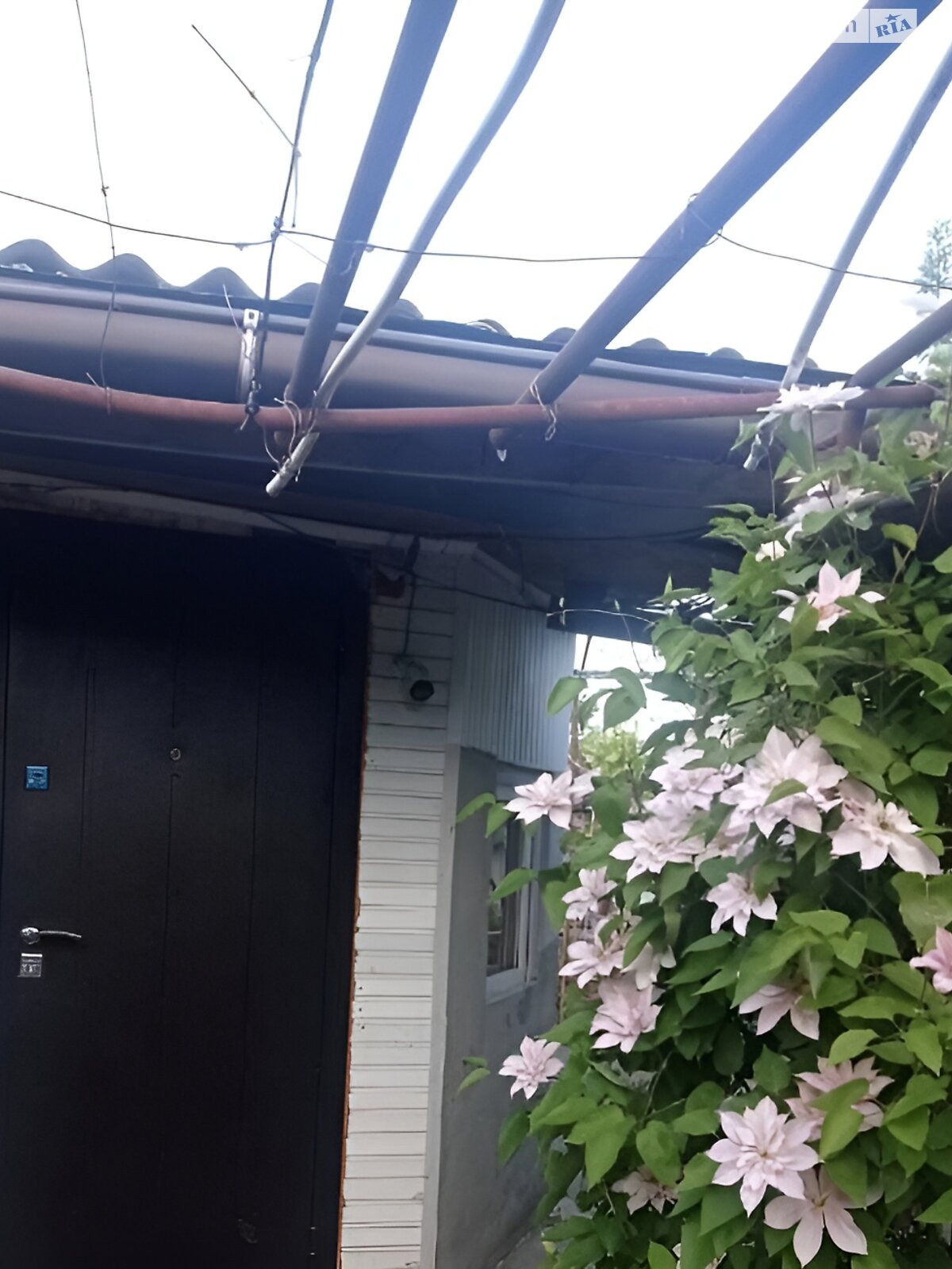 одноэтажный дом с отоплением, 65 кв. м, ракушечник (ракушняк). Продажа в Светлом фото 1 одноэтажный дом с отоплением, 65 кв. м, ракушечник (ракушняк). Продажа в Светлом фото 1