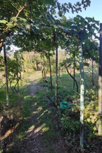 одноповерховий будинок, 50 кв. м, цегла. Продаж у Світле фото 2
