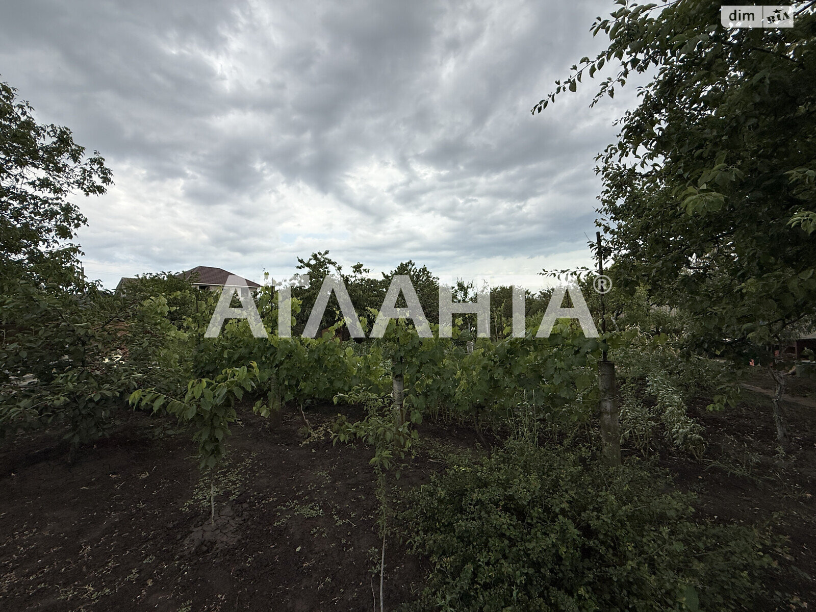 одноэтажный дом беседка, 45 кв. м, дерево и кирпич. Продажа в Светлом фото 1 одноэтажный дом беседка, 45 кв. м, дерево и кирпич. Продажа в Светлом фото 1