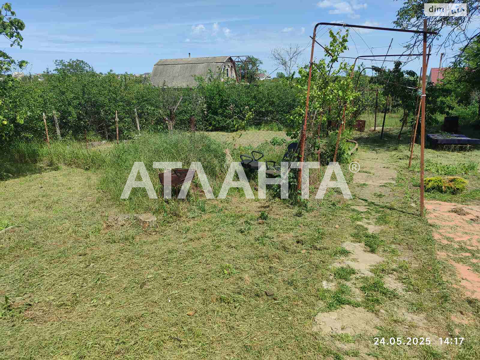 одноповерховий будинок бесідка, 30 кв. м, ракушечник (ракушняк). Продаж у Світле фото 1