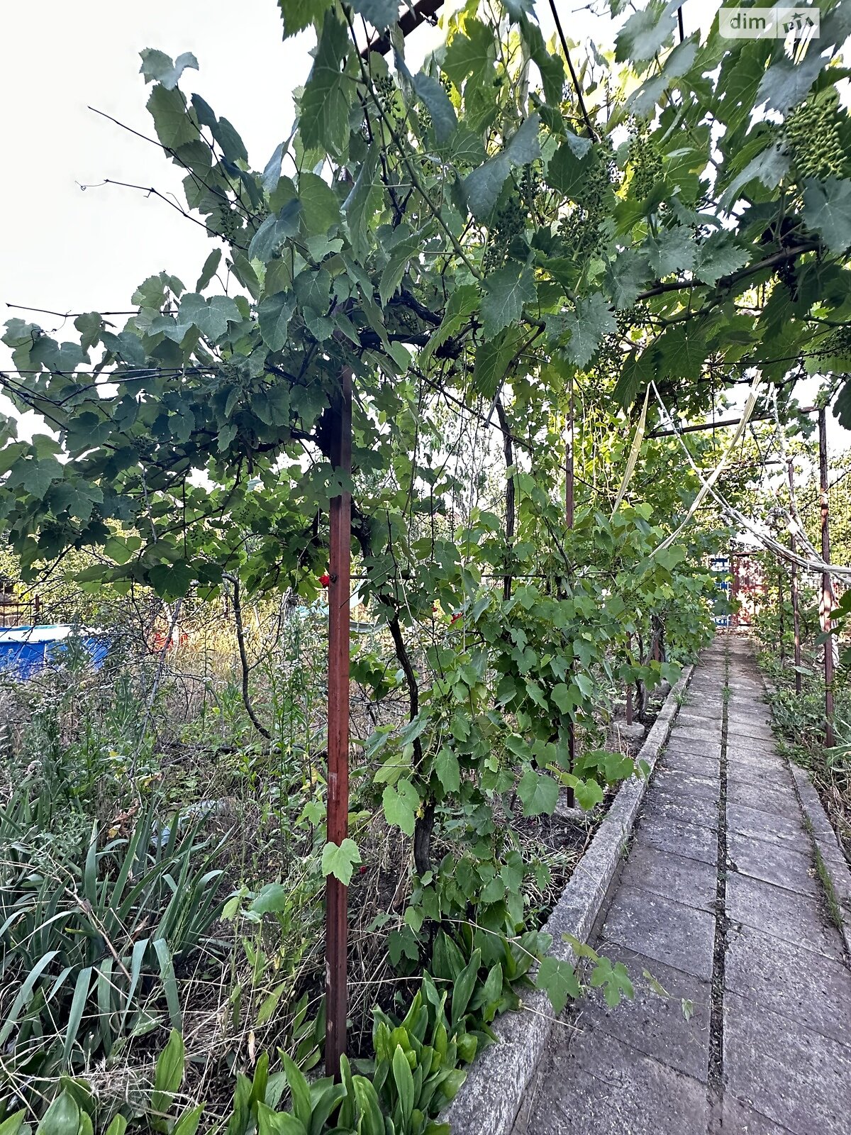 двоповерховий будинок з верандою, 60 кв. м, цегла. Продаж у Світле фото 1 двоповерховий будинок з верандою, 60 кв. м, цегла. Продаж у Світле фото 1