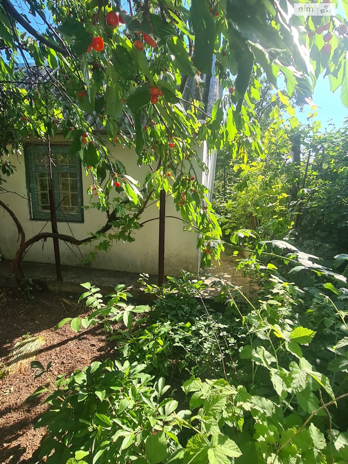 одноповерховий будинок з опаленням, 30 кв. м, цегла. Продаж у Світле фото 1