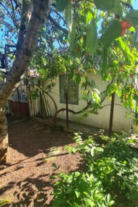 одноповерховий будинок з опаленням, 30 кв. м, цегла. Продаж у Світле фото 2