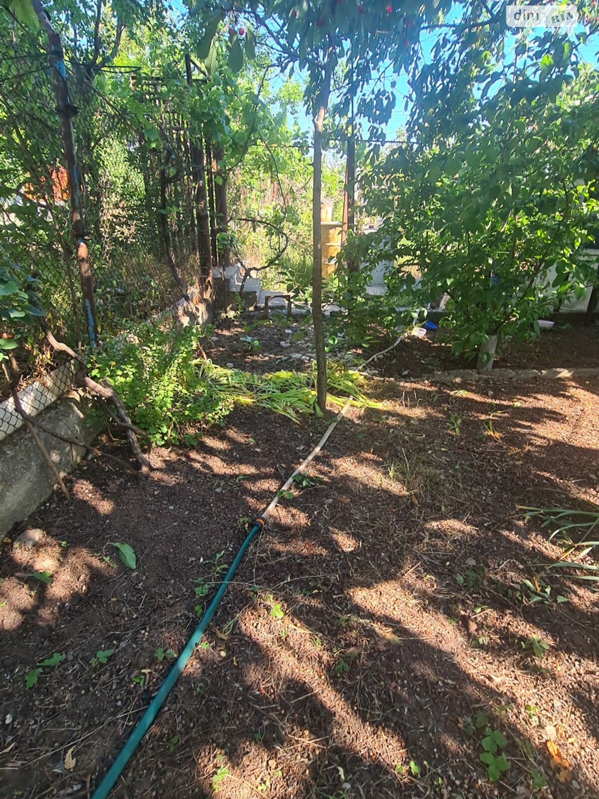 одноповерховий будинок з опаленням, 30 кв. м, цегла. Продаж у Світле фото 1