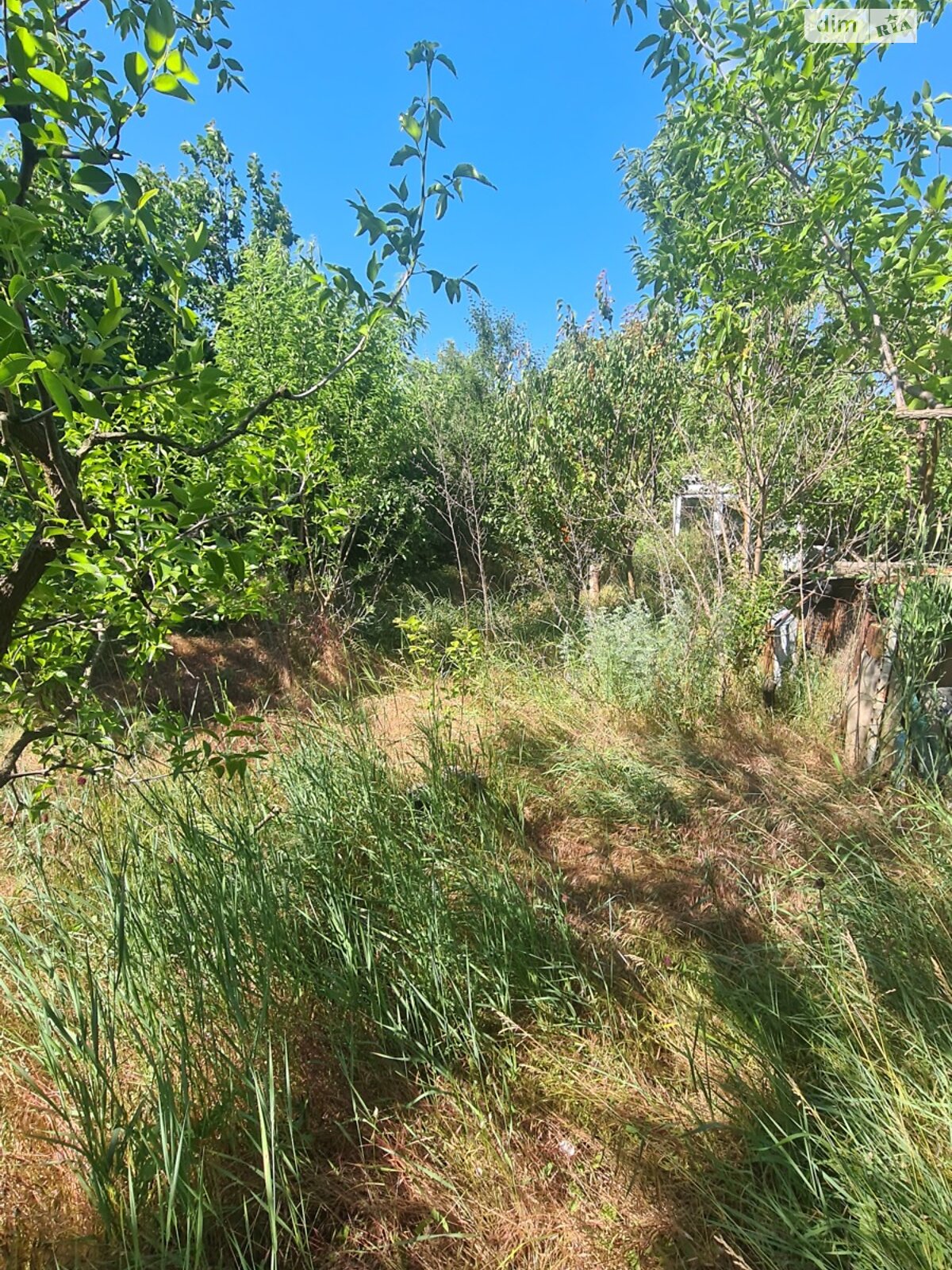 одноповерховий будинок з опаленням, 30 кв. м, цегла. Продаж у Світле фото 1