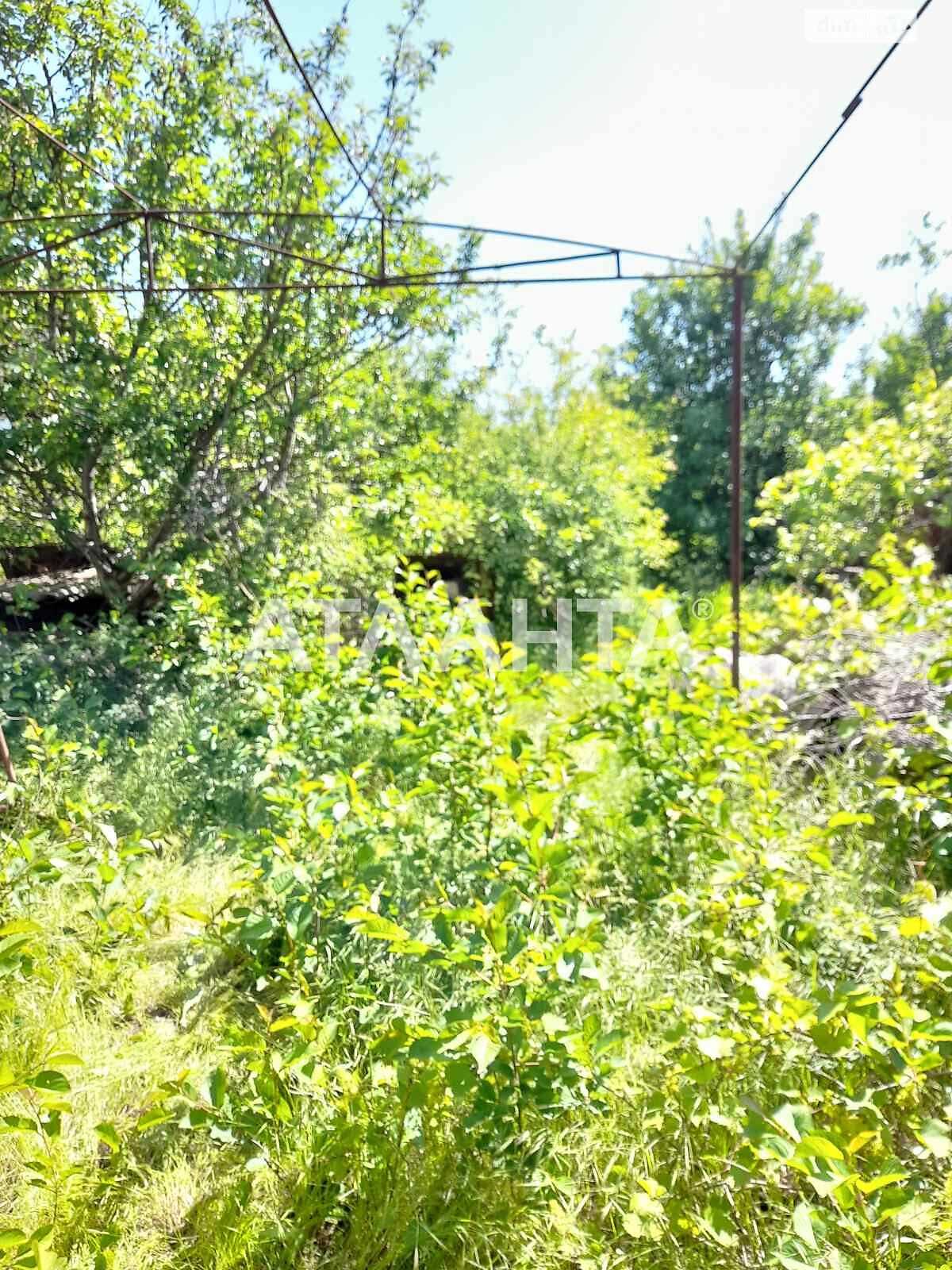 одноэтажный дом, 45 кв. м, ракушечник (ракушняк). Продажа в Светлом фото 1 одноэтажный дом, 45 кв. м, ракушечник (ракушняк). Продажа в Светлом фото 1
