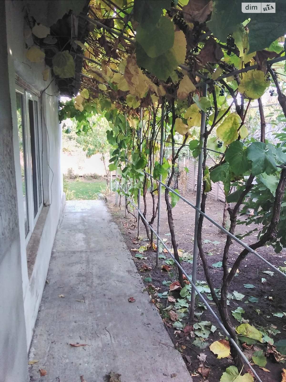 одноповерховий будинок з гаражем, 150 кв. м, цегла. Продаж в Світловодську, район Світловодськ фото 1 одноповерховий будинок з гаражем, 150 кв. м, цегла. Продаж в Світловодську, район Світловодськ фото 1