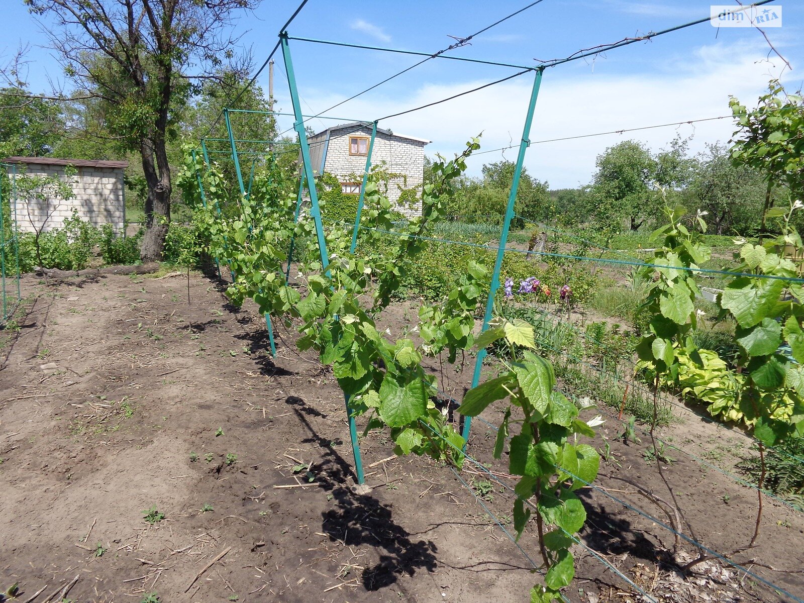 одноэтажный дом с верандой, 30 кв. м, кирпич. Продажа в Недогарках фото 1