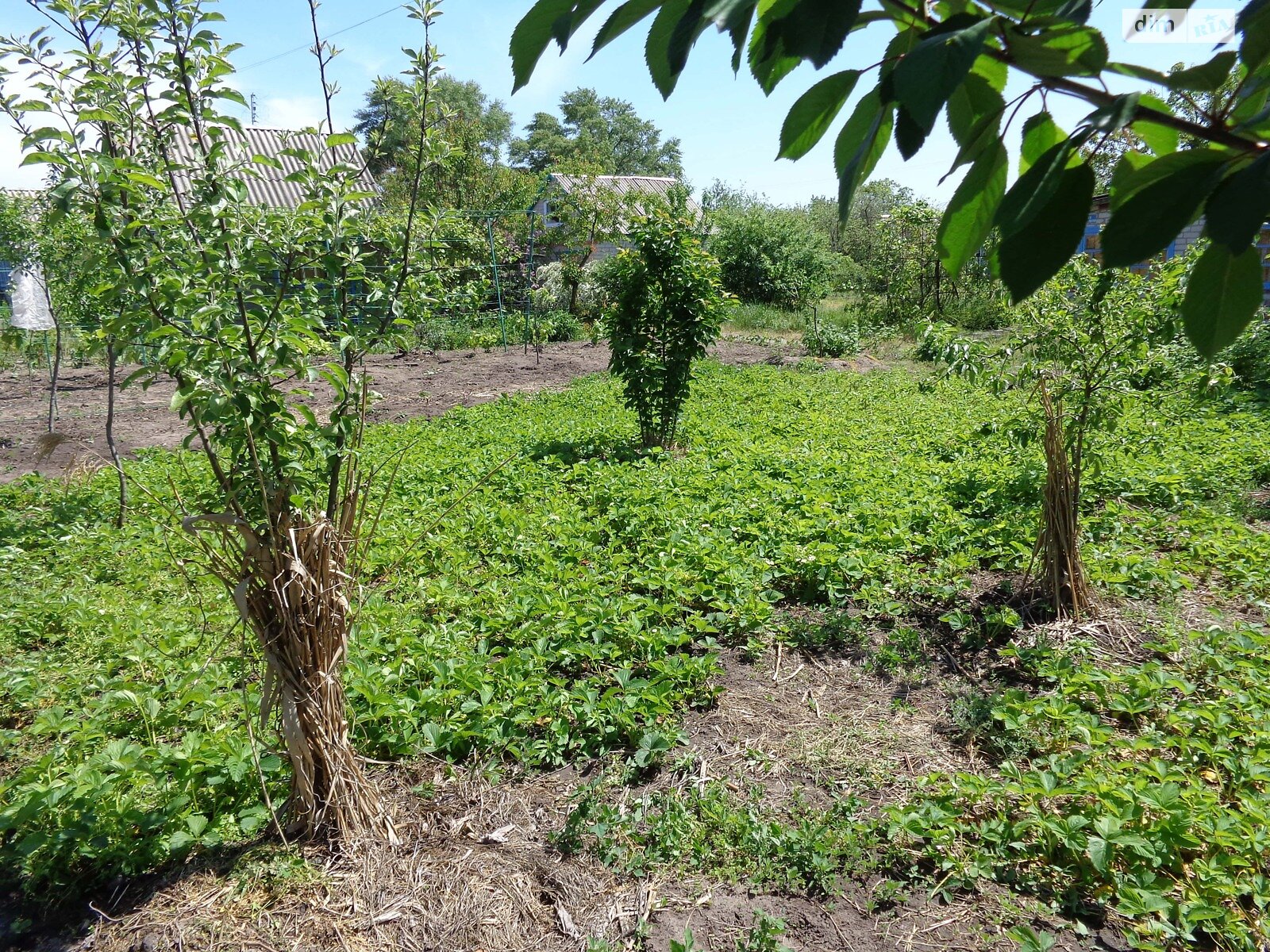 одноэтажный дом с верандой, 30 кв. м, кирпич. Продажа в Недогарках фото 1