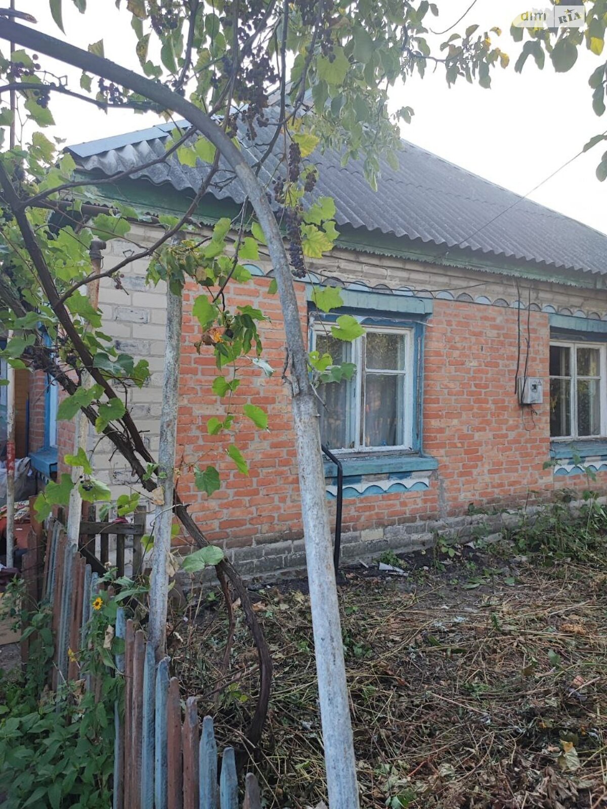 одноповерховий будинок з гаражем, 76 кв. м, цегла. Продаж у Свидівці фото 1