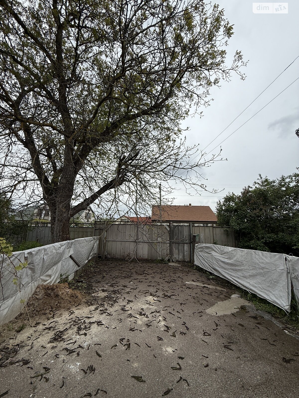 одноповерховий будинок з гаражем, 68.7 кв. м, цегла. Продаж у Свитині фото 1