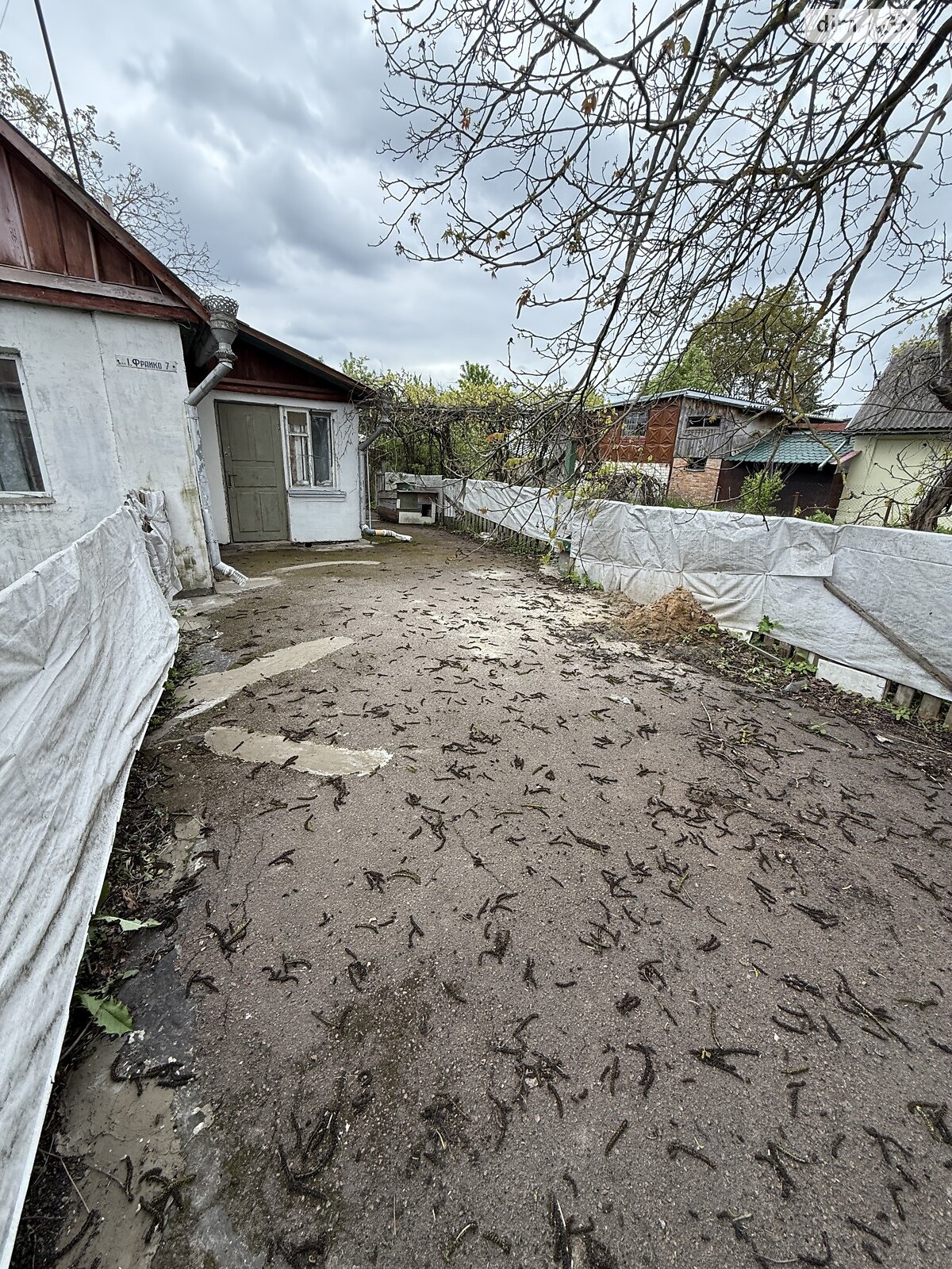 одноповерховий будинок з гаражем, 68.7 кв. м, цегла. Продаж у Свитині фото 1