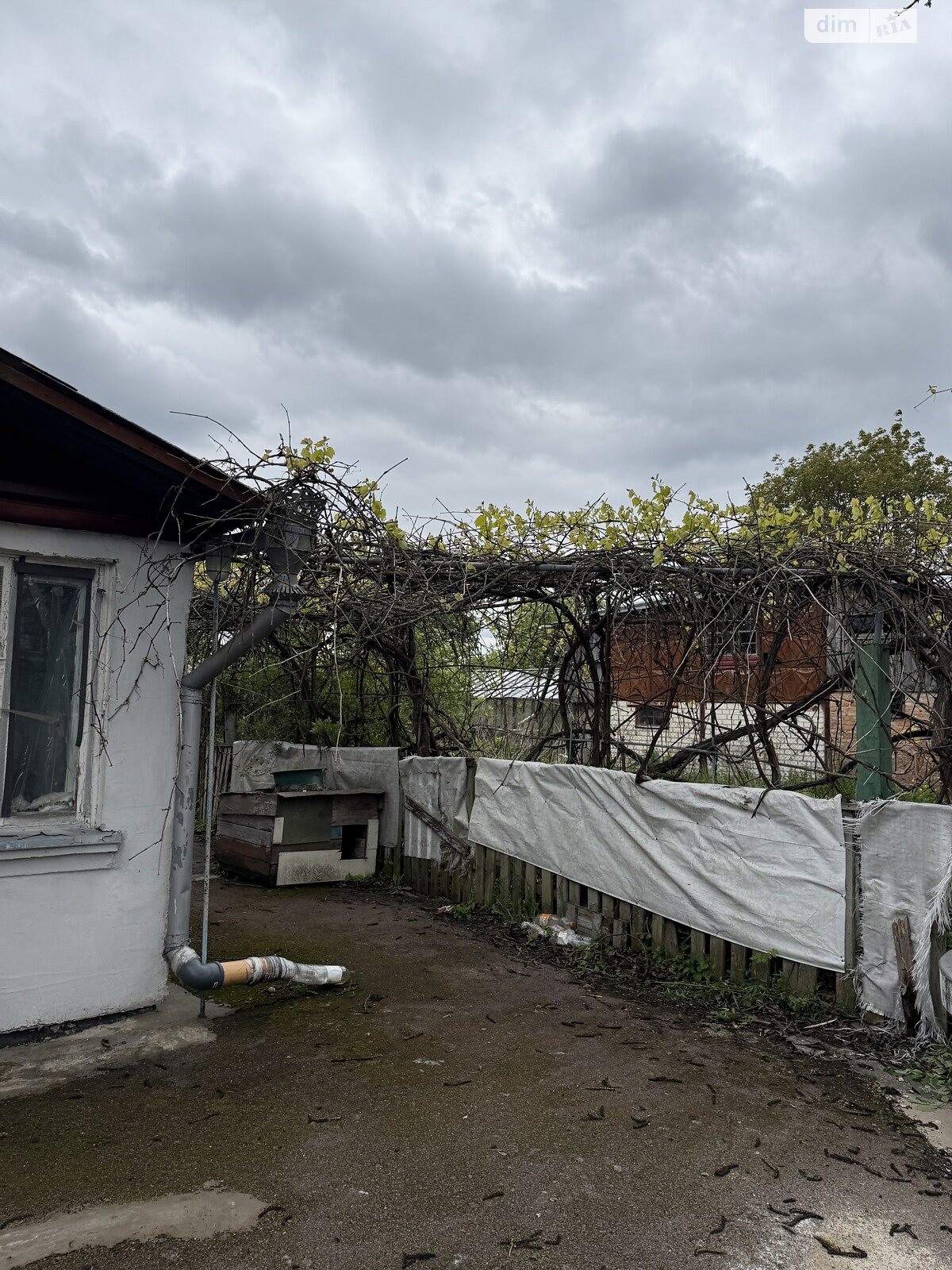 одноповерховий будинок з гаражем, 68.7 кв. м, цегла. Продаж у Свитині фото 1