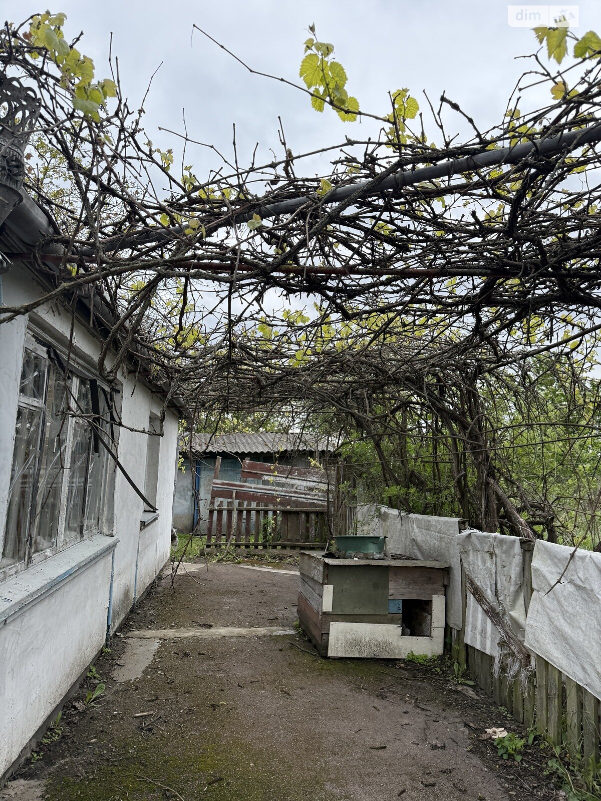 одноповерховий будинок з гаражем, 68.7 кв. м, цегла. Продаж у Свитині фото 1