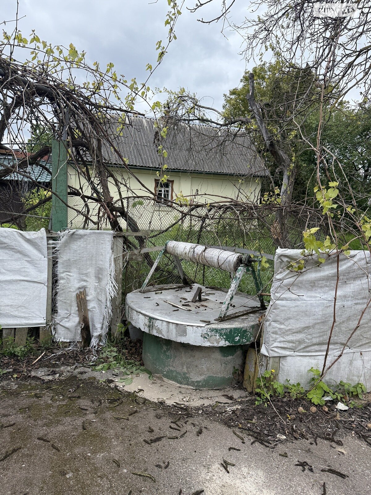 одноповерховий будинок з гаражем, 68.7 кв. м, цегла. Продаж у Свитині фото 1