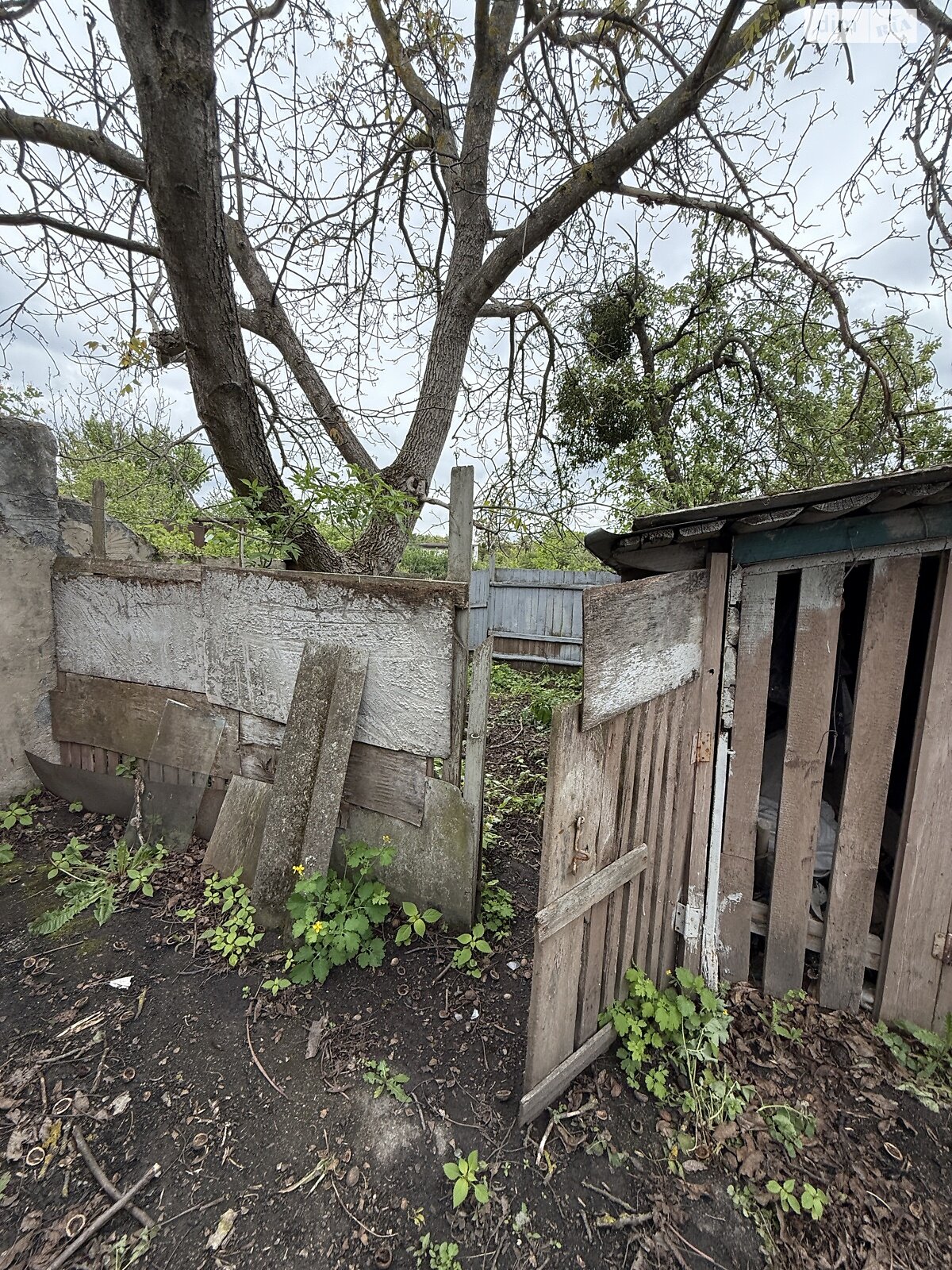 одноповерховий будинок з гаражем, 68.7 кв. м, цегла. Продаж у Свитині фото 1