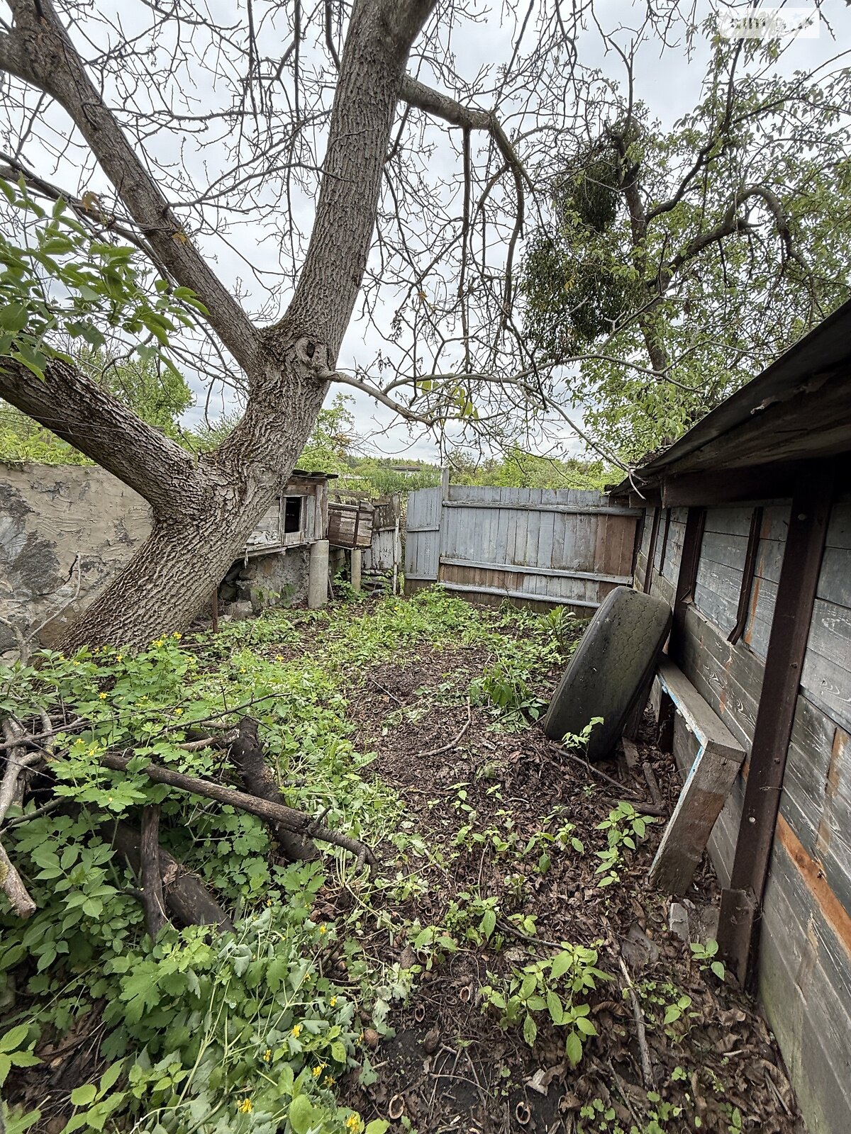 одноповерховий будинок з гаражем, 68.7 кв. м, цегла. Продаж у Свитині фото 1