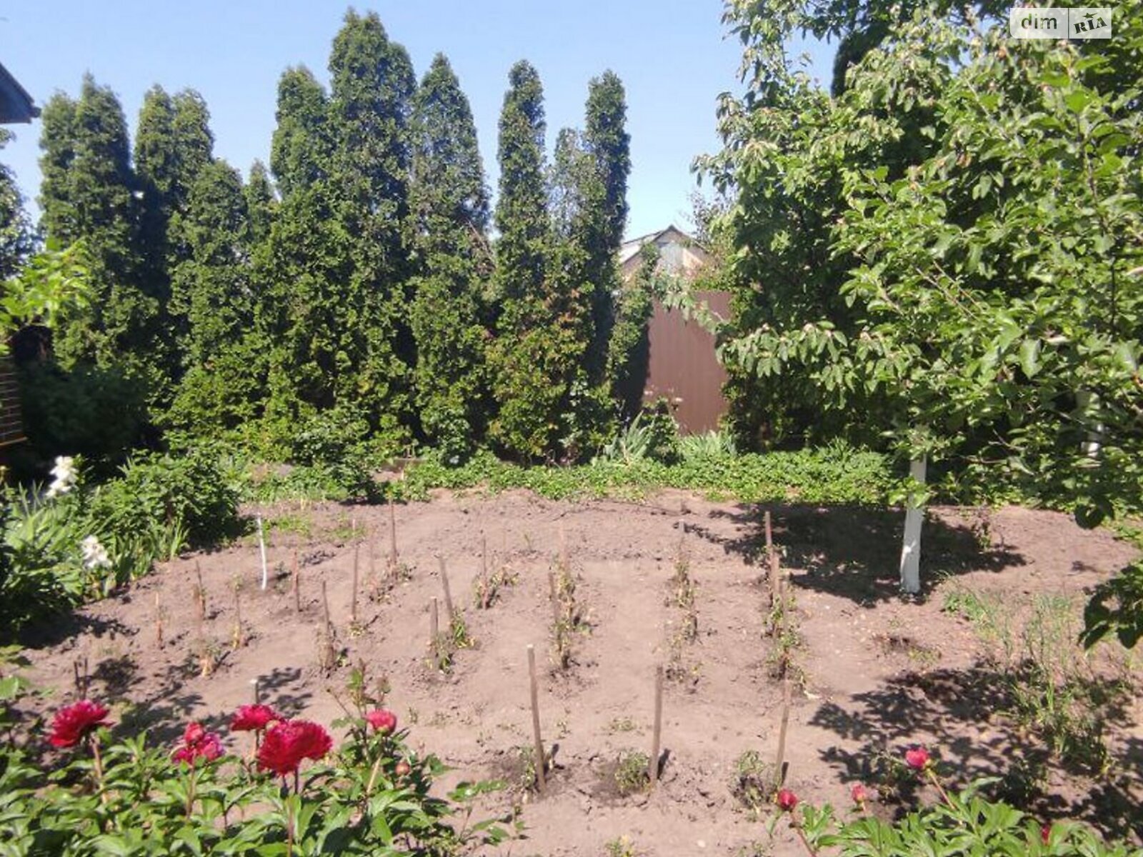 двоповерховий будинок з гаражем, 240 кв. м, кирпич. Продаж у Святопетрівське фото 1 двоповерховий будинок з гаражем, 240 кв. м, кирпич. Продаж у Святопетрівське фото 1