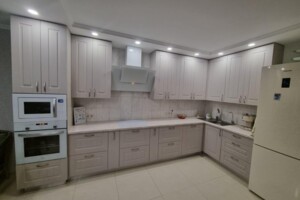 триповерховий будинок, 115 кв. м, кирпич. Продаж у Святопетрівське фото 2