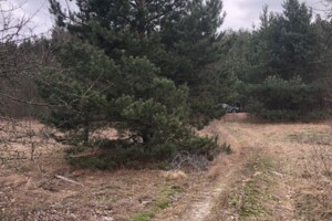 одноэтажный дом, 48.6 кв. м, брус. Продажа в Таборище район Центр фото 2