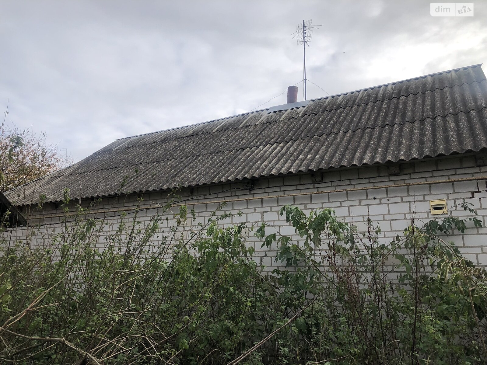 одноповерховий будинок з верандою, 65 кв. м, цегла. Продаж у Тадіївці фото 1 одноповерховий будинок з верандою, 65 кв. м, цегла. Продаж у Тадіївці фото 1