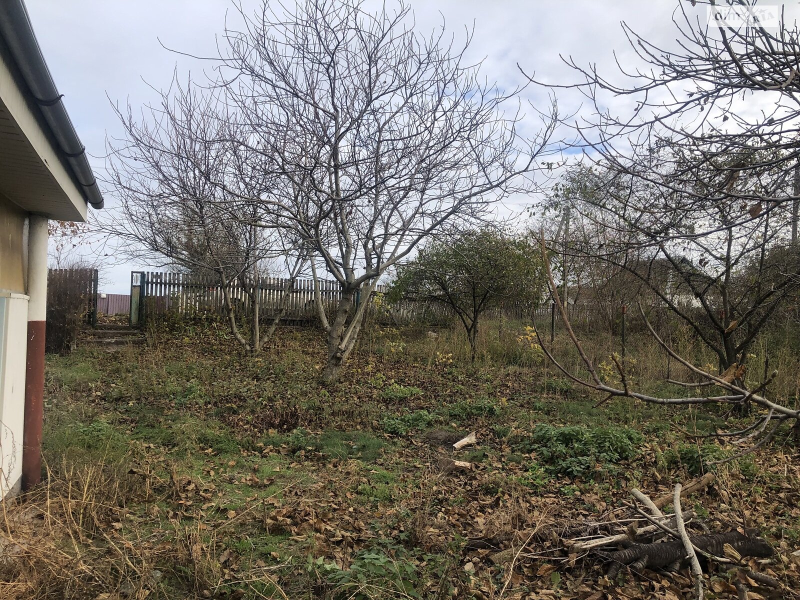 одноповерховий будинок з верандою, 65 кв. м, цегла. Продаж у Тадіївці фото 1 одноповерховий будинок з верандою, 65 кв. м, цегла. Продаж у Тадіївці фото 1