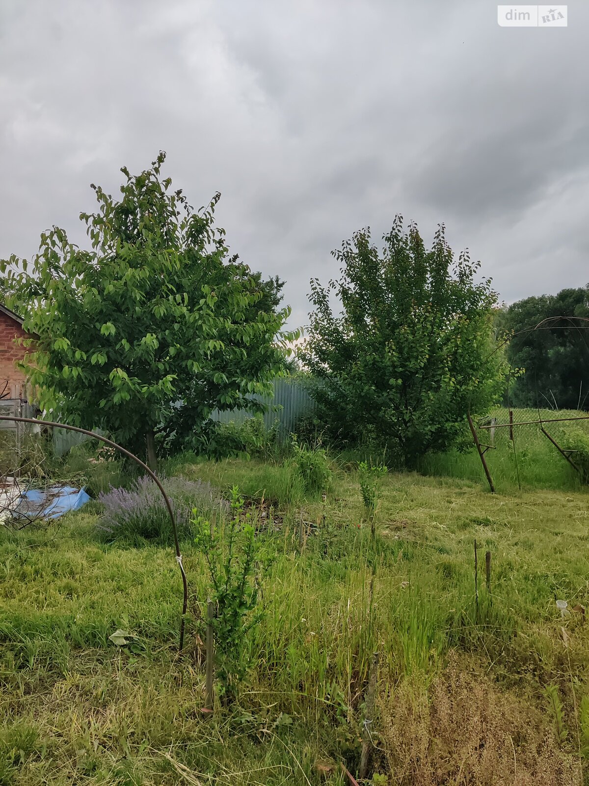 одноповерховий будинок з гаражем, 73.1 кв. м, дерево та цегла. Продаж у Талалаївці фото 1 одноповерховий будинок з гаражем, 73.1 кв. м, дерево та цегла. Продаж у Талалаївці фото 1