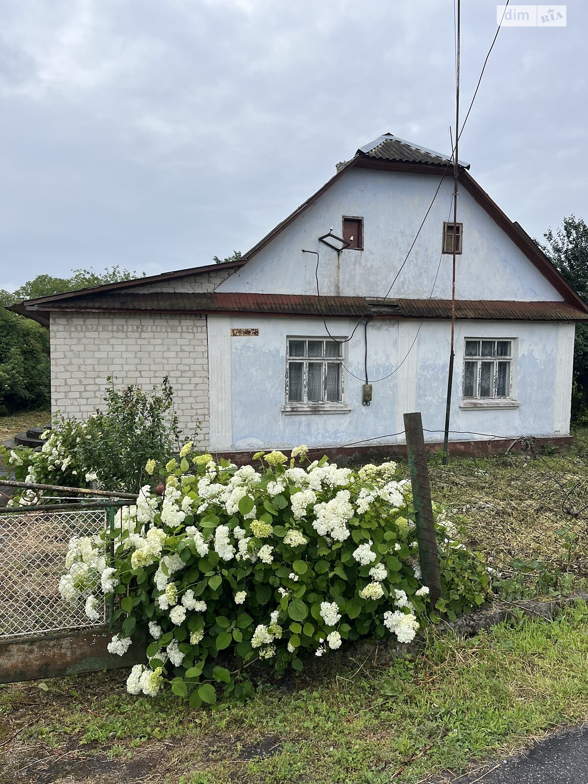 одноповерховий будинок, 50 кв. м, шлакоблок. Продаж у Тараканові фото 1 одноповерховий будинок, 50 кв. м, шлакоблок. Продаж у Тараканові фото 1