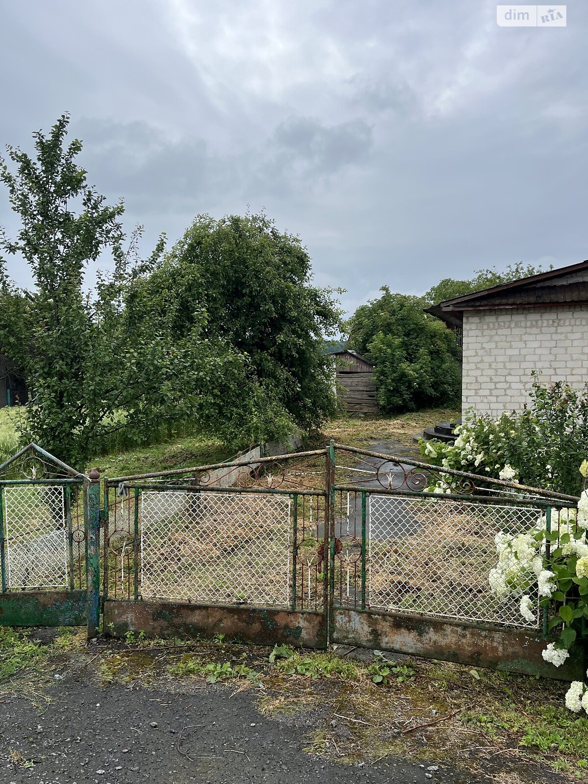 одноповерховий будинок, 50 кв. м, шлакоблок. Продаж у Тараканові фото 1 одноповерховий будинок, 50 кв. м, шлакоблок. Продаж у Тараканові фото 1