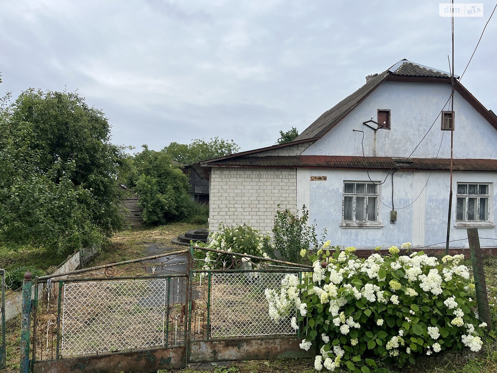 одноповерховий будинок, 50 кв. м, шлакоблок. Продаж у Тараканові фото 1 одноповерховий будинок, 50 кв. м, шлакоблок. Продаж у Тараканові фото 1