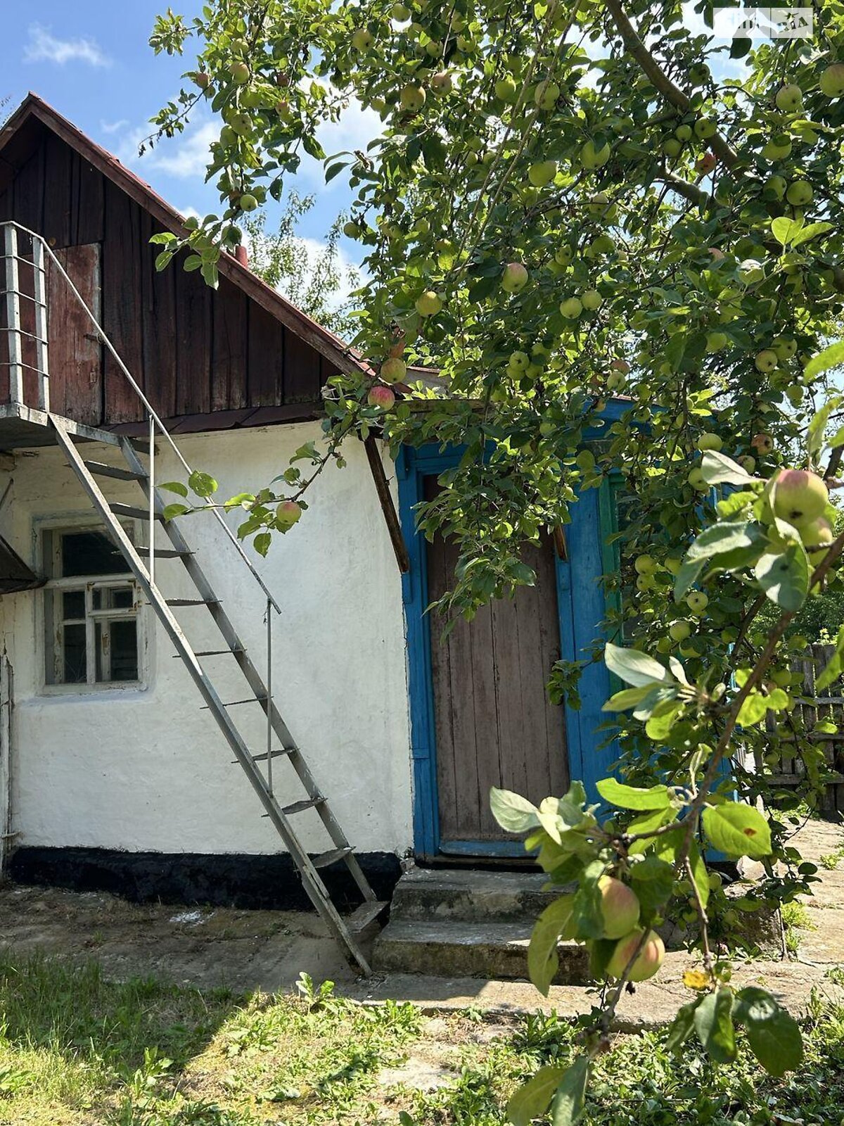 одноповерховий будинок, 65 кв. м, брус. Продаж в Таращі, район Тараща фото 1 одноповерховий будинок, 65 кв. м, брус. Продаж в Таращі, район Тараща фото 1