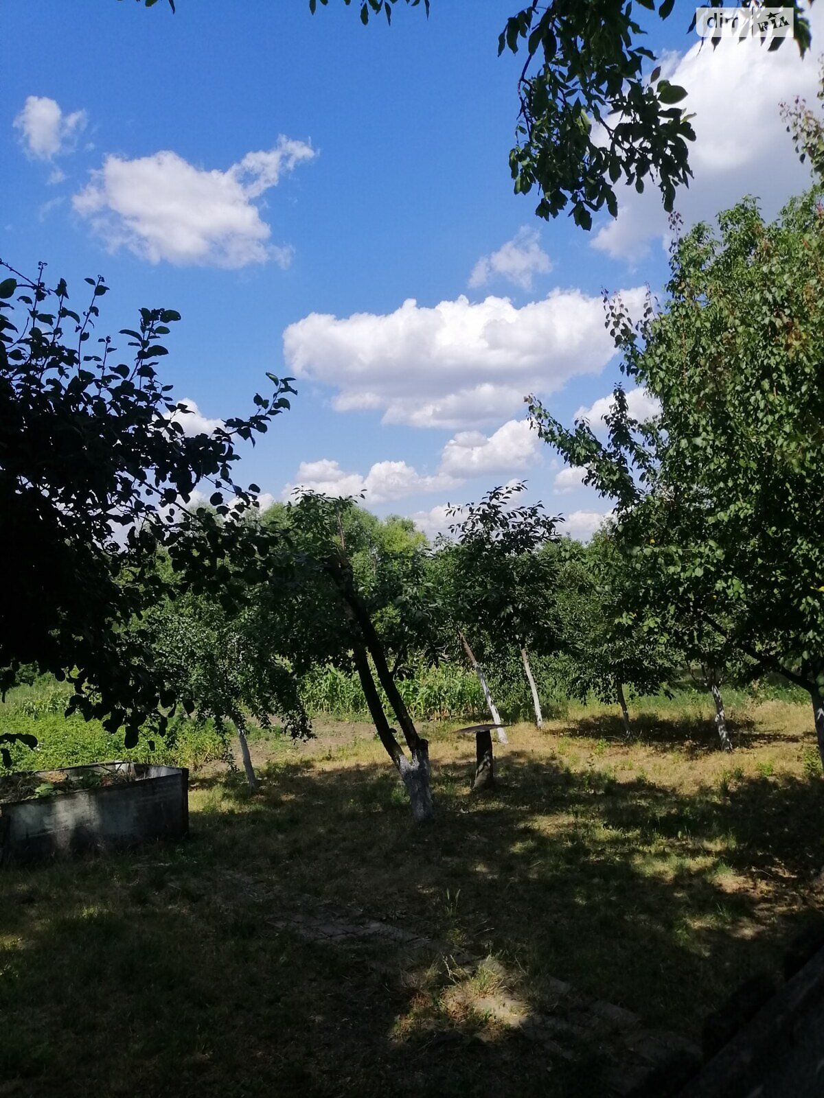 одноповерховий будинок з опаленням, 83 кв. м, цегла. Продаж у Станішівці фото 1 одноповерховий будинок з опаленням, 83 кв. м, цегла. Продаж у Станішівці фото 1