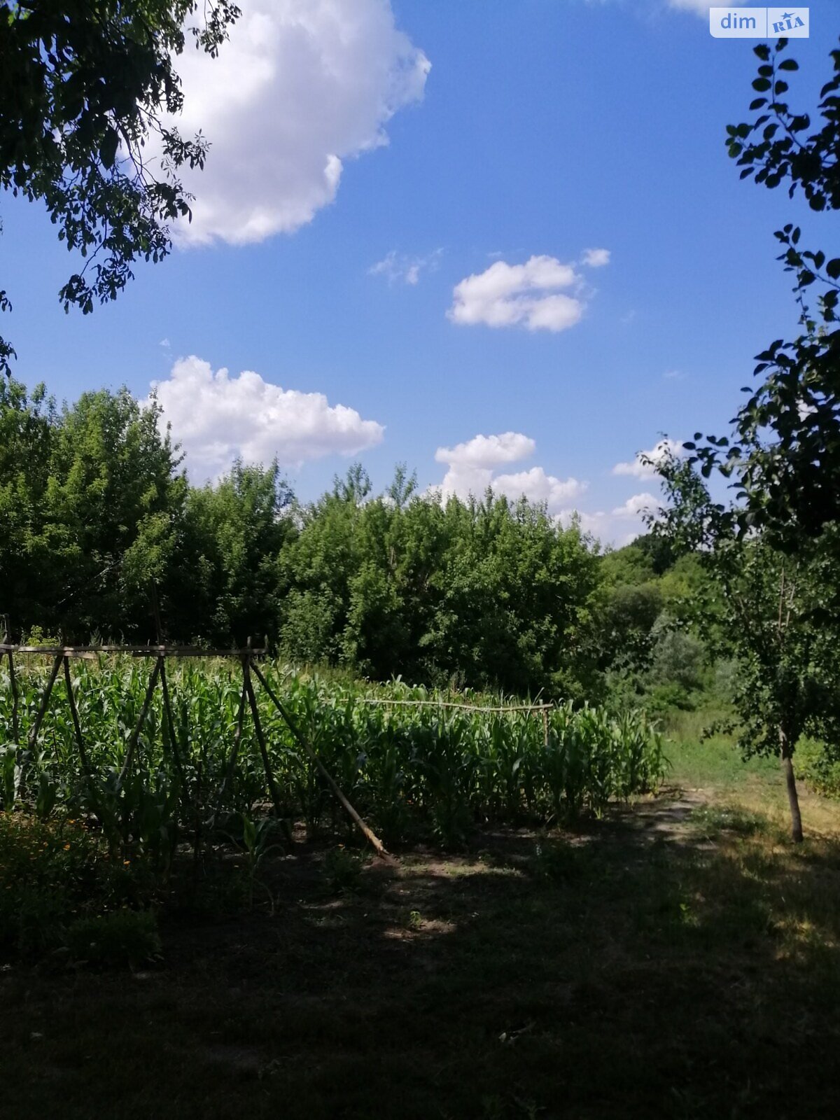 одноповерховий будинок з опаленням, 83 кв. м, цегла. Продаж у Станішівці фото 1 одноповерховий будинок з опаленням, 83 кв. м, цегла. Продаж у Станішівці фото 1