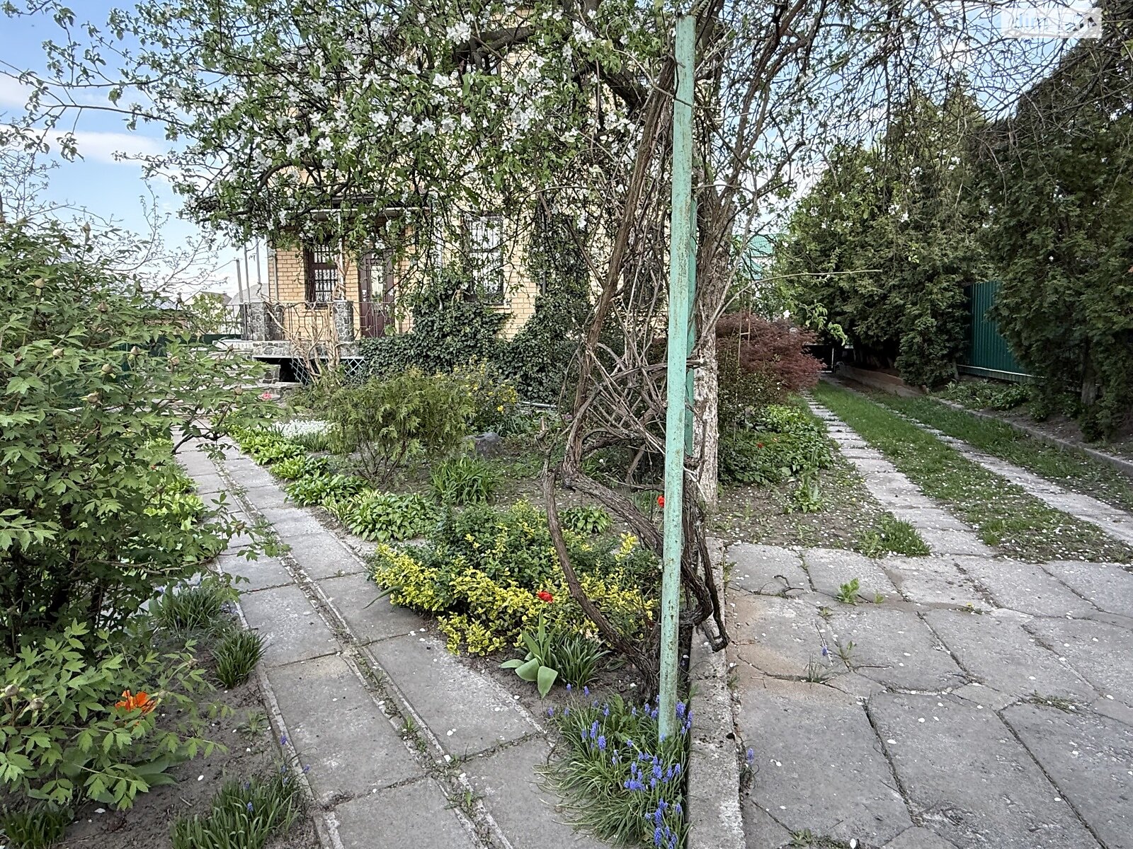 двоповерховий будинок з гаражем, 370.7 кв. м, цегла. Продаж у Тарасівці фото 1 двоповерховий будинок з гаражем, 370.7 кв. м, цегла. Продаж у Тарасівці фото 1