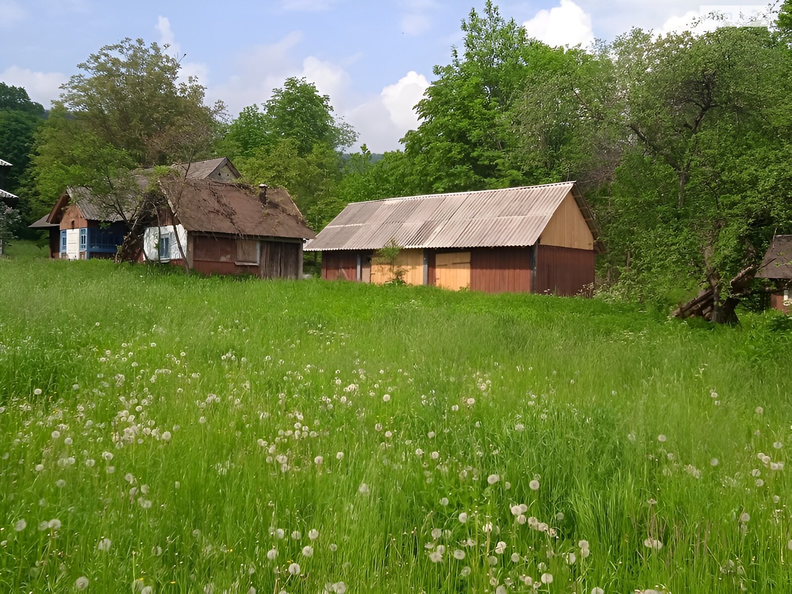 одноэтажный дом, 65 кв. м, дерево и кирпич. Продажа в Текучье фото 1 одноэтажный дом, 65 кв. м, дерево и кирпич. Продажа в Текучье фото 1