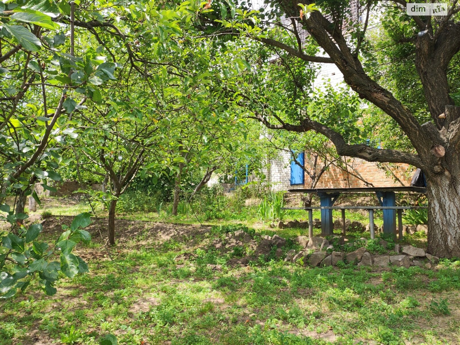 одноповерховий будинок, 65.3 кв. м, цегла. Продаж у Тептіївці фото 1 одноповерховий будинок, 65.3 кв. м, цегла. Продаж у Тептіївці фото 1