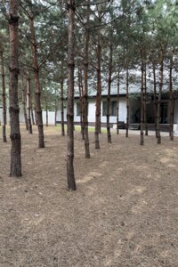 одноповерховий будинок з верандою, 220 кв. м, газобетон. Продаж у Терентіївці фото 2