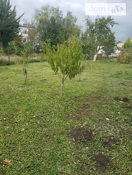 двухэтажный дом с садом, 319 кв. м, кирпич. Продажа в Байковцах (Тернопольская обл.) фото 1 двухэтажный дом с садом, 319 кв. м, кирпич. Продажа в Байковцах (Тернопольская обл.) фото 1
