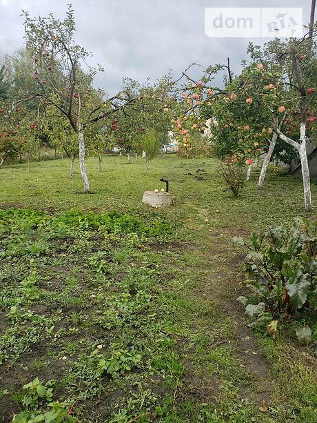 двухэтажный дом с садом, 319 кв. м, кирпич. Продажа в Байковцах (Тернопольская обл.) фото 1 двухэтажный дом с садом, 319 кв. м, кирпич. Продажа в Байковцах (Тернопольская обл.) фото 1