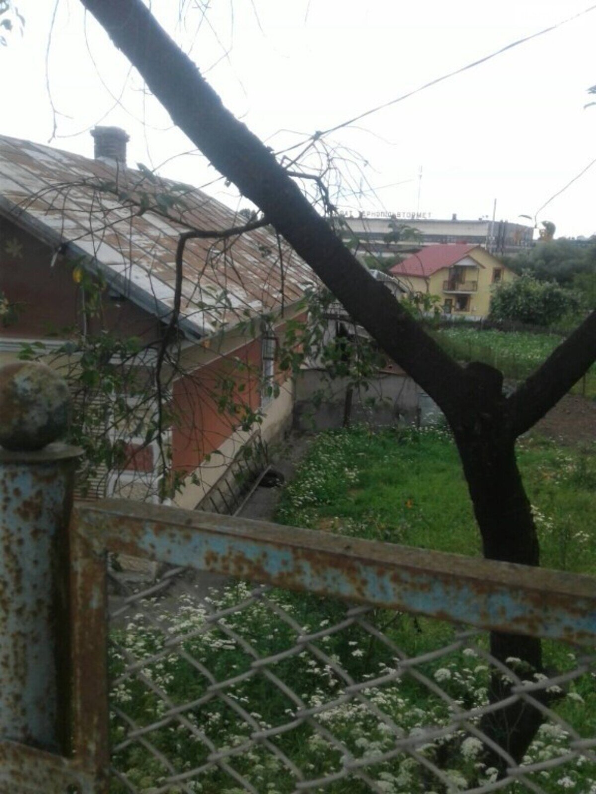 одноповерховий будинок з верандою, 56 кв. м, цегла. Продаж у Березовиці фото 1 одноповерховий будинок з верандою, 56 кв. м, цегла. Продаж у Березовиці фото 1