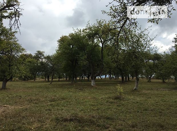 одноэтажный дом, 165 кв. м, кирпич. Продажа в Биле (Тернопольская обл.) фото 1 одноэтажный дом, 165 кв. м, кирпич. Продажа в Биле (Тернопольская обл.) фото 1