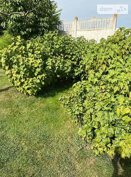 двухэтажный дом с садом, 480 кв. м, кирпич. Продажа в Довжанке (Тернопольская обл.) фото 1 двухэтажный дом с садом, 480 кв. м, кирпич. Продажа в Довжанке (Тернопольская обл.) фото 1