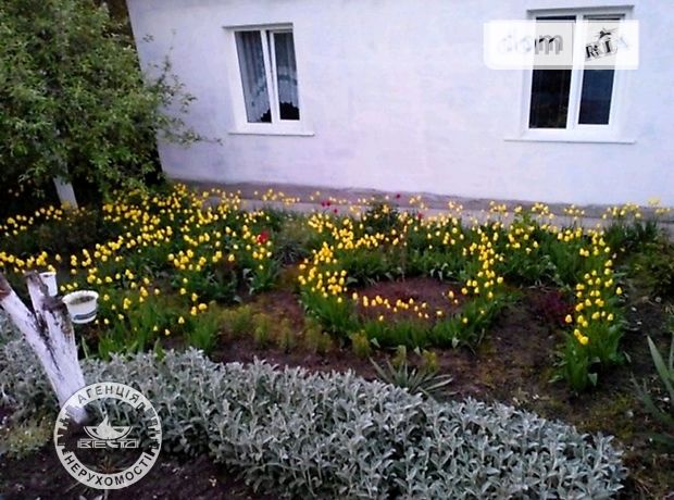 одноэтажный дом с подвалом, 78 кв. м, кирпич. Продажа в Довжанке (Тернопольская обл.) фото 1 одноэтажный дом с подвалом, 78 кв. м, кирпич. Продажа в Довжанке (Тернопольская обл.) фото 1